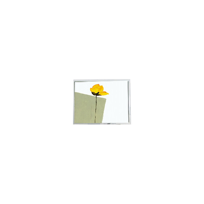 Giá tốt. Màn hình LCD mới 800*480 AM-800480N3TZQW-00H 5.0 inch cho màn hình ô tô trực tuyến