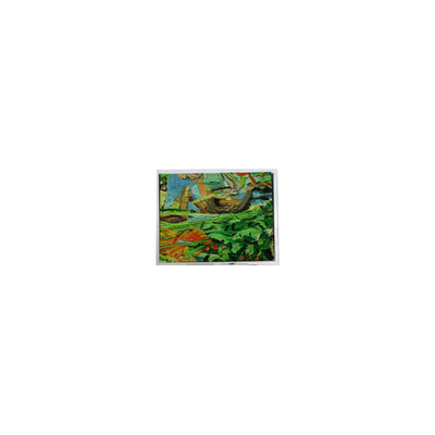 Giá tốt. Ban đầu 800*480 5.0 inch AM-800480NGTZQW-01H 45 pin WLED màn hình LCD trực tuyến