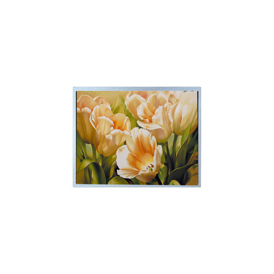 Giá tốt. Bảng điều khiển màn hình LCD 9,0 inch 1024 * 600 AM-1024600Y2TZQW-A0H TFT 1200 cd / m2 trực tuyến
