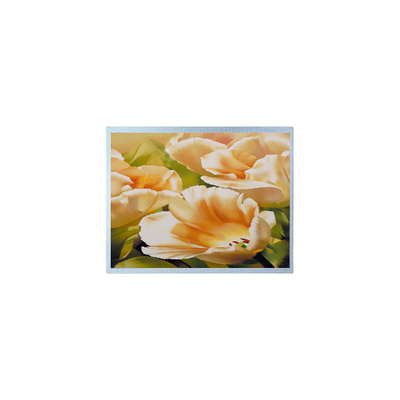 Giá tốt. 1024*600 AM-1024600Y3TZQW-A1H 9.0 inch TFT 300 cd/m2 Phần màn hình LCD trực tuyến