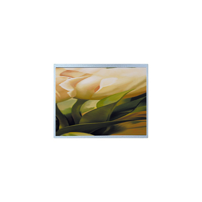 Giá tốt. AM-1024600YTZQW-00H 1024*600 9.0 inch TFT 500 cd/m2 Màn hình LCD trực tuyến