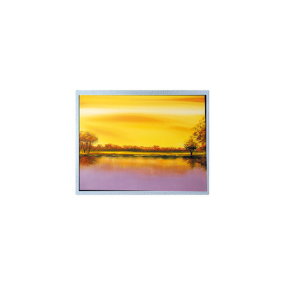 Giá tốt. 1024*768 AM-1024768J2TZQW-T00H 8.0 inch TFT PCAP LCD Screen trực tuyến
