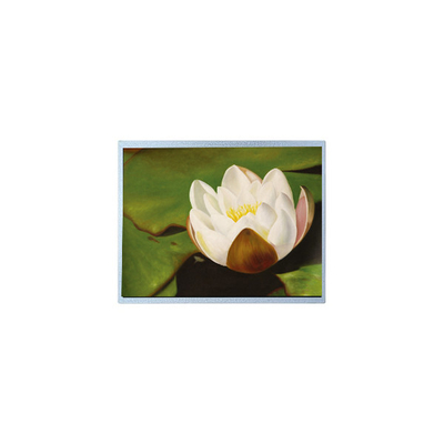 Giá tốt. AM-1024768M2TMQW-T06H 1024*768 10,4 inch PCAP TFT LCD Screen trực tuyến