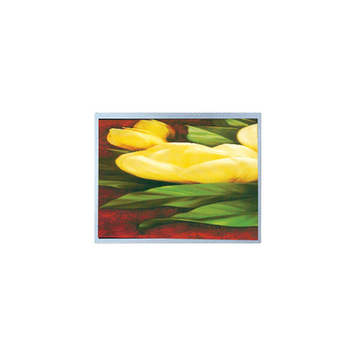 Giá tốt. Hot Sell 12.1 inch AM-1024768R2TNQW-T00H 1024*768 Màn hình LCD TFT trực tuyến