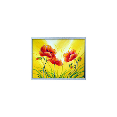 Giá tốt. AM-1280800W2TZQW-00H Màn hình LCD 10,1 inch cho ánh sáng cao ngoài trời trực tuyến