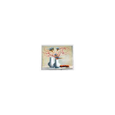Giá tốt. Đơn vị hiển thị màn hình LCD 5,2 inch DMF5010NB-FW-BC 400 cd/m2 trực tuyến