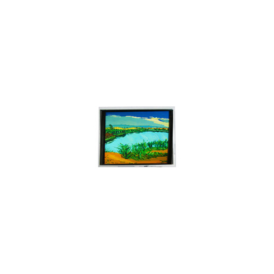 Giá tốt. DMF-50316NF-FW-1 240*64 5,2 inch 130 cd/m2 màn hình LCD trực tuyến