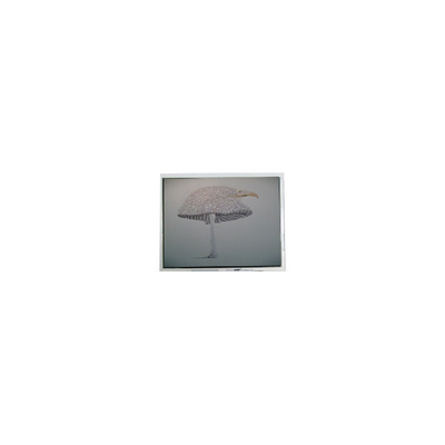 Giá tốt. 9.4 inch DMF-51043NFU-FW 640 * 480 màn hình LCD Panel trực tuyến