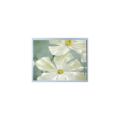 Giá tốt. F-51851GNFQJ-LW-AAN 240 * 64 5.2 inch 72 pin màn hình LCD trực tuyến