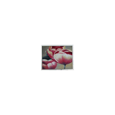 Giá tốt. NEW T-55548GD057JU-LW-AAN 5.7 inch 262K LCD Screen trực tuyến
