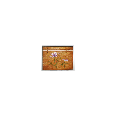 Giá tốt. Đồ chiếu LCD gốc 320*240 5,7 inch ER057000NM6 trực tuyến