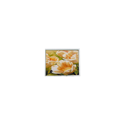 Giá tốt. ES13BB0FLW 128 * 64 màn hình LCD 2,9 inch Mô-đun LCD cho các thiết bị trực tuyến