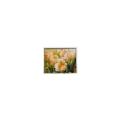 Giá tốt. bán nóng 5.0 inch COM50T5117GTC 320 * 240 67 pin màn hình LCD trực tuyến
