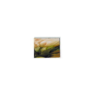 Giá tốt. chất lượng cao 320*240 COM50T5124GTC 5.0 inch màn hình cảm ứng LCD trực tuyến