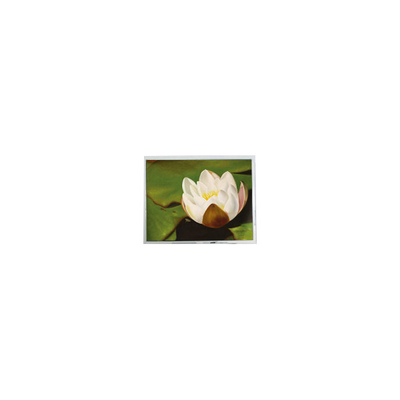 Giá tốt. 640 * 480 5.7 inch COM57H5M87KTC 262K 60Hz màn hình cảm ứng LCD trực tuyến