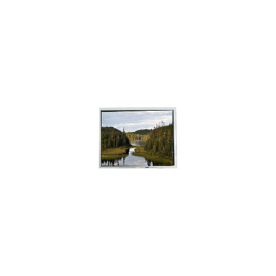Giá tốt. 2Màn hình LCD.0 inch 20QVF0H màn hình LCD cho cầm tay trực tuyến