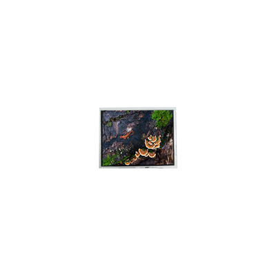 Giá tốt. mới 3.0 inch 30WQF0H 240 * 400 5S1P WLED màn hình LCD mô-đun trực tuyến