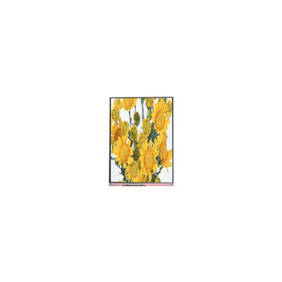 Giá tốt. C070SWP1 7.0 inch TFT LCD màn hình bảng điều khiển cho khung ảnh kỹ thuật số trực tuyến