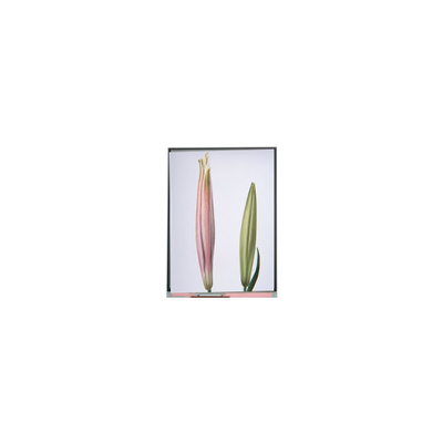 Giá tốt. C080SWW3-0 8.0 inch TFT màn hình LCD cho máy tính bảng trực tuyến