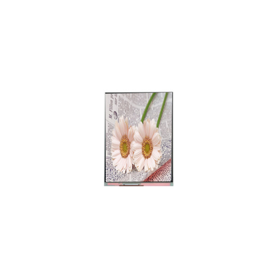 Giá tốt. C084GNS1-1 800 * 600 8.4 inch TFT màn hình LCD cho công nghiệp trực tuyến