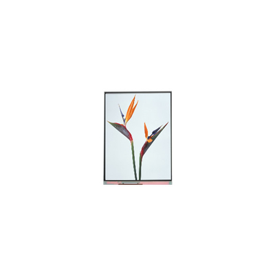Giá tốt. Bảng điều khiển màn hình LCD LCD 9,0 inch C090NWP1 R0 800 * 480 trực tuyến