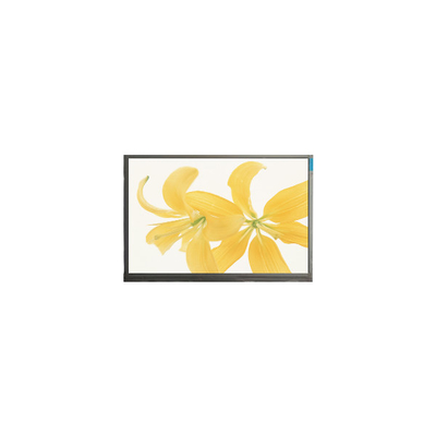 Giá tốt. Màn hình LCD 10,4 inch LPM104GNX1 R1 TFT LVDS 262K trực tuyến