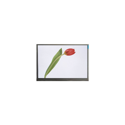 Giá tốt. M070SWP1 R0 7.0 inch 800 * 480 màn hình TFT LCD Bảng hiển thị trực tuyến