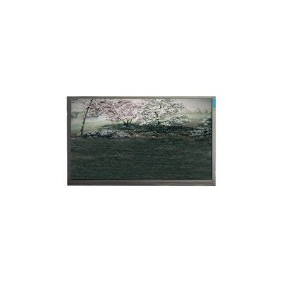 Giá tốt. P101GWN9 R0 10,1 inch 1024 * 600 262K 500: 1 màn hình LCD chất lượng cao trực tuyến