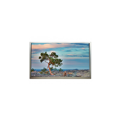 Giá tốt. SN245CT01-1 Màn hình hiển thị LCD 1920*1080 3500:1 trực tuyến