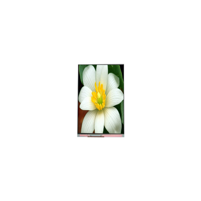 Giá tốt. PJ052IC-01C 5,2 inch 1080 * 1920 màn hình LCD Bảng hiển thị trực tuyến