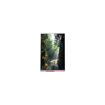 Giá tốt. 5.2 inch 1080*1920 PM052IC-01L 1000:1 Màn hình LCD trực tuyến