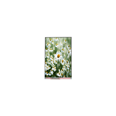 Giá tốt. 1080*1920 5.5 inch PP055IA-03N màn hình LCD Panel trực tuyến