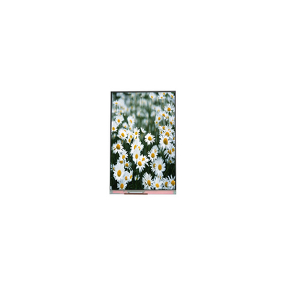 Giá tốt. Ban đầu 1440*2560 PP055IA-09A 5,5 inch màn hình LCD trực tuyến
