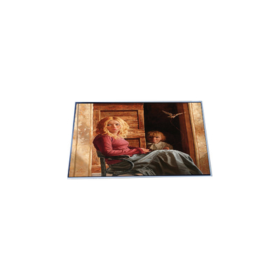Giá tốt. N156HAN01.0 Màn hình hiển thị LCD 1920*1080 15,6 inch trực tuyến