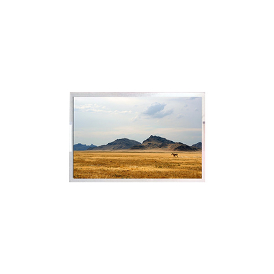 Giá tốt. TFT7D0906-A màn hình LCD hiển thị 6.3 inch LCD Panel trực tuyến