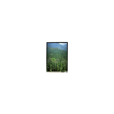 Giá tốt. LS055B3SX04Z 5,5 inch 1920 * 3664 TFT LCD Screen Panel trực tuyến