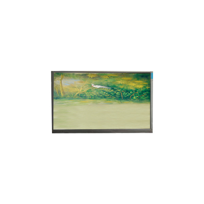 Giá tốt. U062SWR6-0 6,2 inch 720 * 1600 màn hình LCD cho điện thoại di động trực tuyến