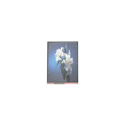 Giá tốt. C090SWP1-2 9.0 inch 800 * 480 Màn hình LCD cho màn hình ô tô trực tuyến