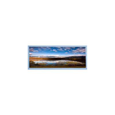 Giá tốt. M102AWF2 R3 màn hình LCD 10,3 inch TFT màn hình LCD cho màn hình ô tô trực tuyến