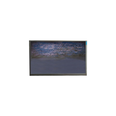 Giá tốt. U055SWRA-1 5.5 inch màn hình LCD 720 * 1440 mô-đun hiển thị LCD trực tuyến