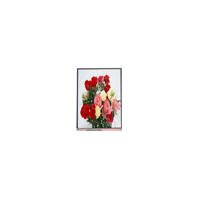 Giá tốt. C065SWR4-0 Bản gốc trong kho 6.5 inch 540 * 1200 màn hình hiển thị LCD trực tuyến