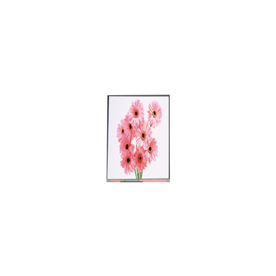 Giá tốt. 6.1 inch C061SWR3-0 720 * 1560 màn hình LCD cho điện thoại di động trực tuyến
