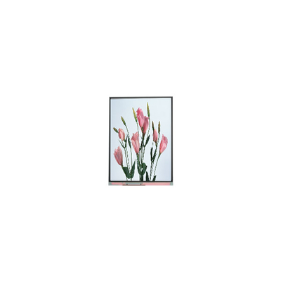 Giá tốt. 5.7 inch 720*1520 C057SWR2-0 màn hình lcd cho điện thoại di động trực tuyến