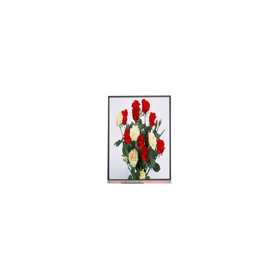 Giá tốt. 720*1480 màn hình LCD 6.3 inch C063SWR1-0 trực tuyến