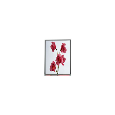 Giá tốt. 480*960 C060SWY7-0 6.0 inch màn hình LCD trực tuyến