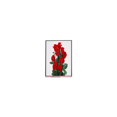 Giá tốt. Mới 6.2 inch C062SWP1-1 800 * 480 màn hình LCD trực tuyến