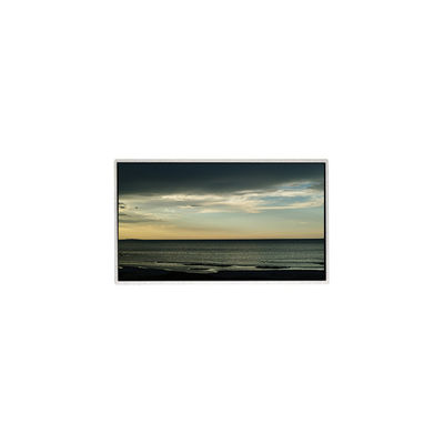 Giá tốt. TT101WSB-NW0 LCD Panel 10.1 Inch 1024 * 600 màn hình LCD trực tuyến