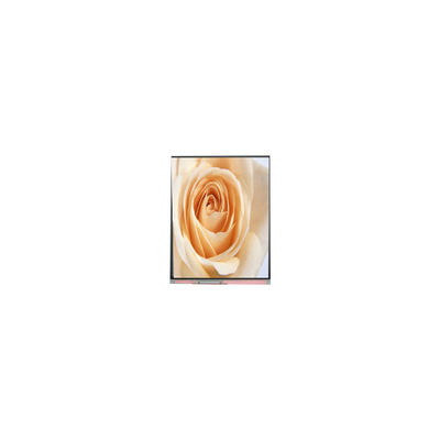 Giá tốt. C050SWAF-0 5.0 inch 720 * 1280 màn hình LCD trực tuyến