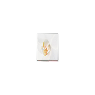 Giá tốt. C050SWYD-2 5.0 inch 480 * 854 màn hình LCD trực tuyến