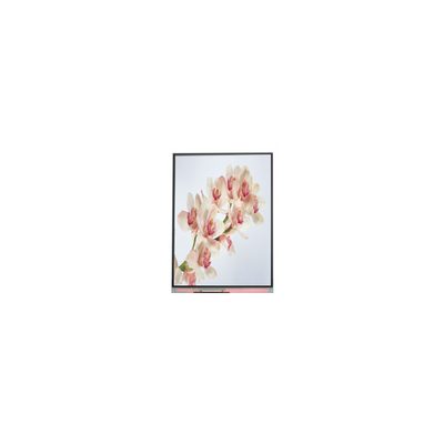 Giá tốt. C060SWA4-0 Mới 6.0 inch IPS màn hình LCD trực tuyến